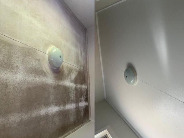 Ceiling Paint